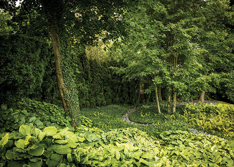 Gardens That Beckon - Shade Garden