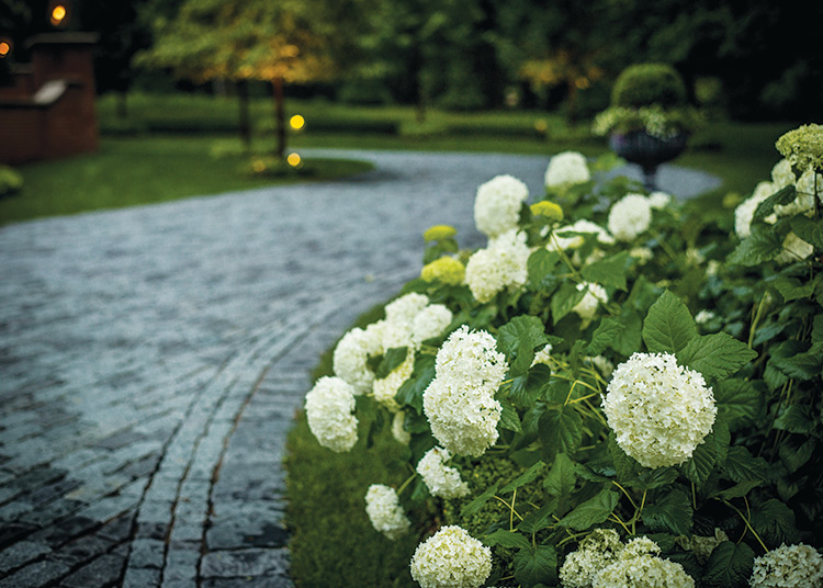 Gardens That Beckon - Driveway